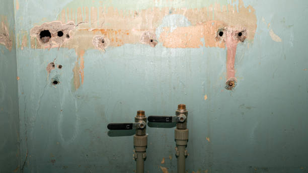 Best 24/7 water damage repair  in White City, OR